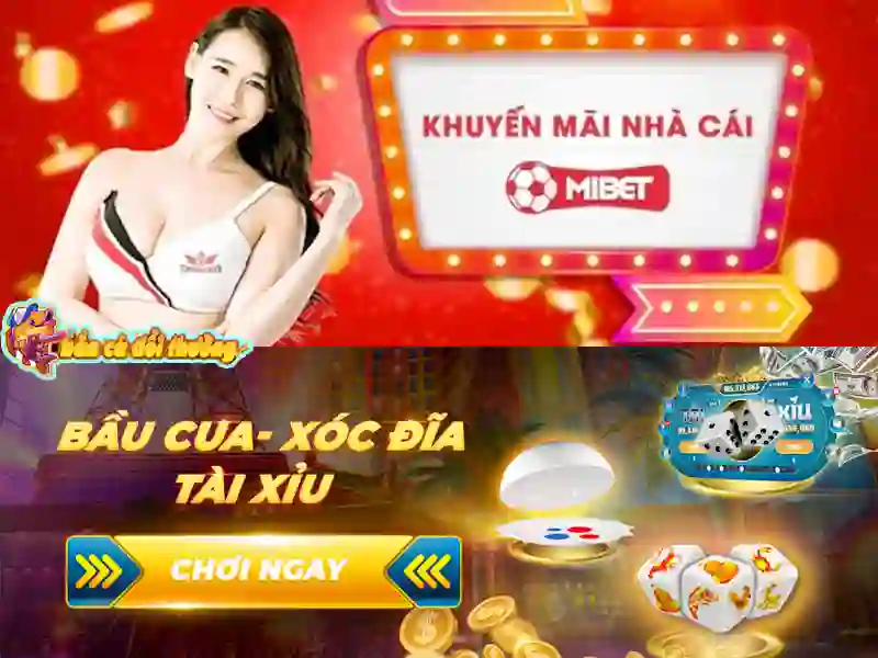 Không còn phải nghi ngờ về độ uy tín của Mibet